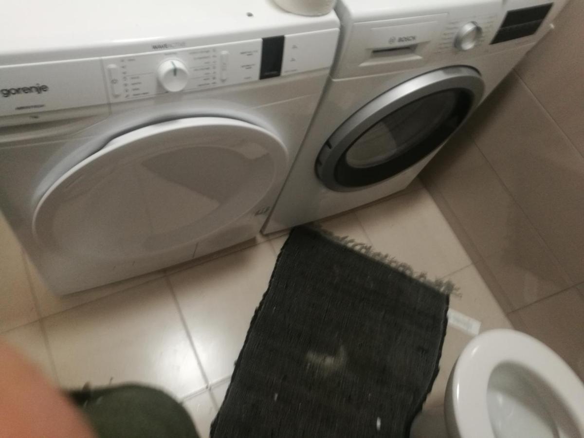 Apartma Burjuca Lägenhet Ajdovščina Exteriör bild